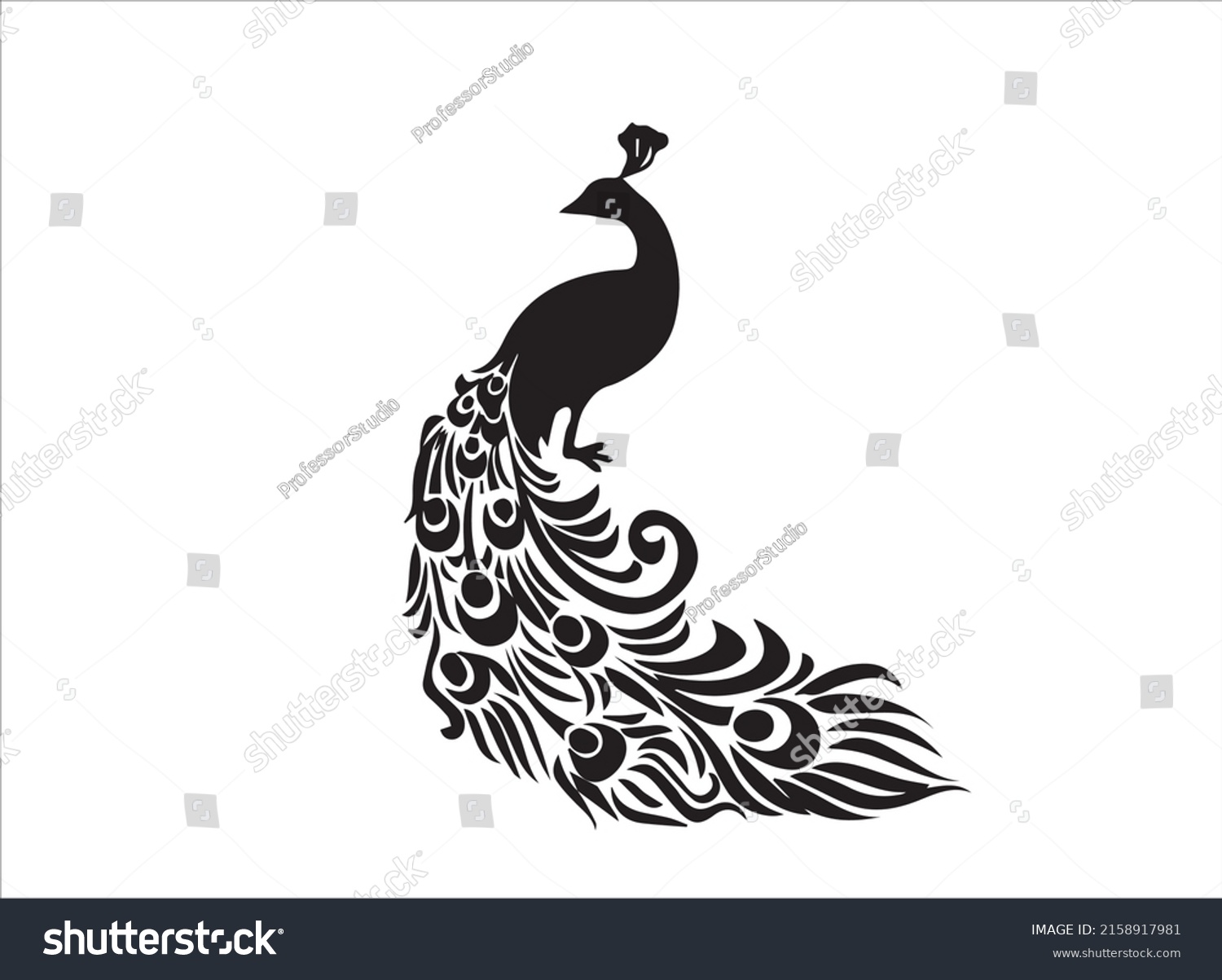 Peacock Bird Vector National Bird Peacock Stock Vector (Royalty Free ...