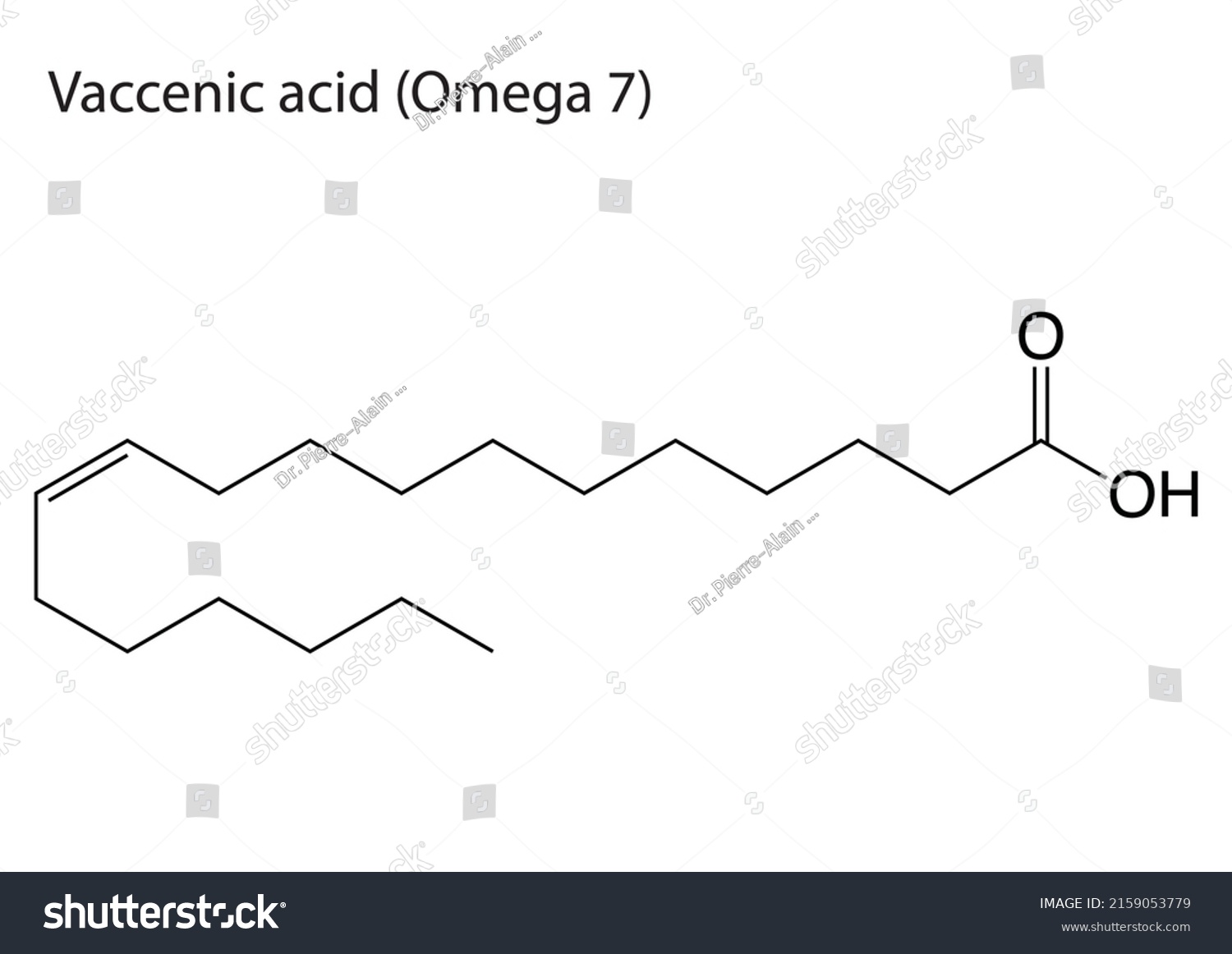 Eps Molecular Structure Vaccenic Acid Omega Stock Vector (Royalty Free ...