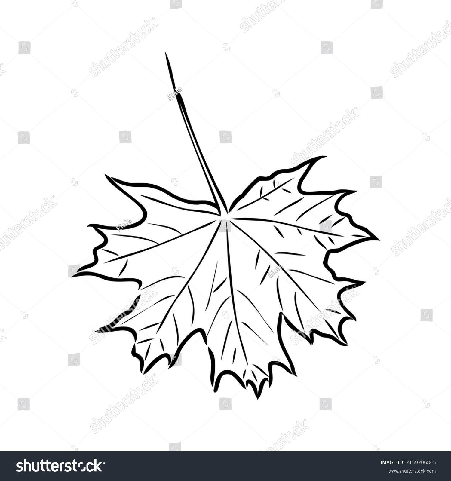 Fall Leaf Clipart Black White Leaf Stock Vector (Royalty Free ...