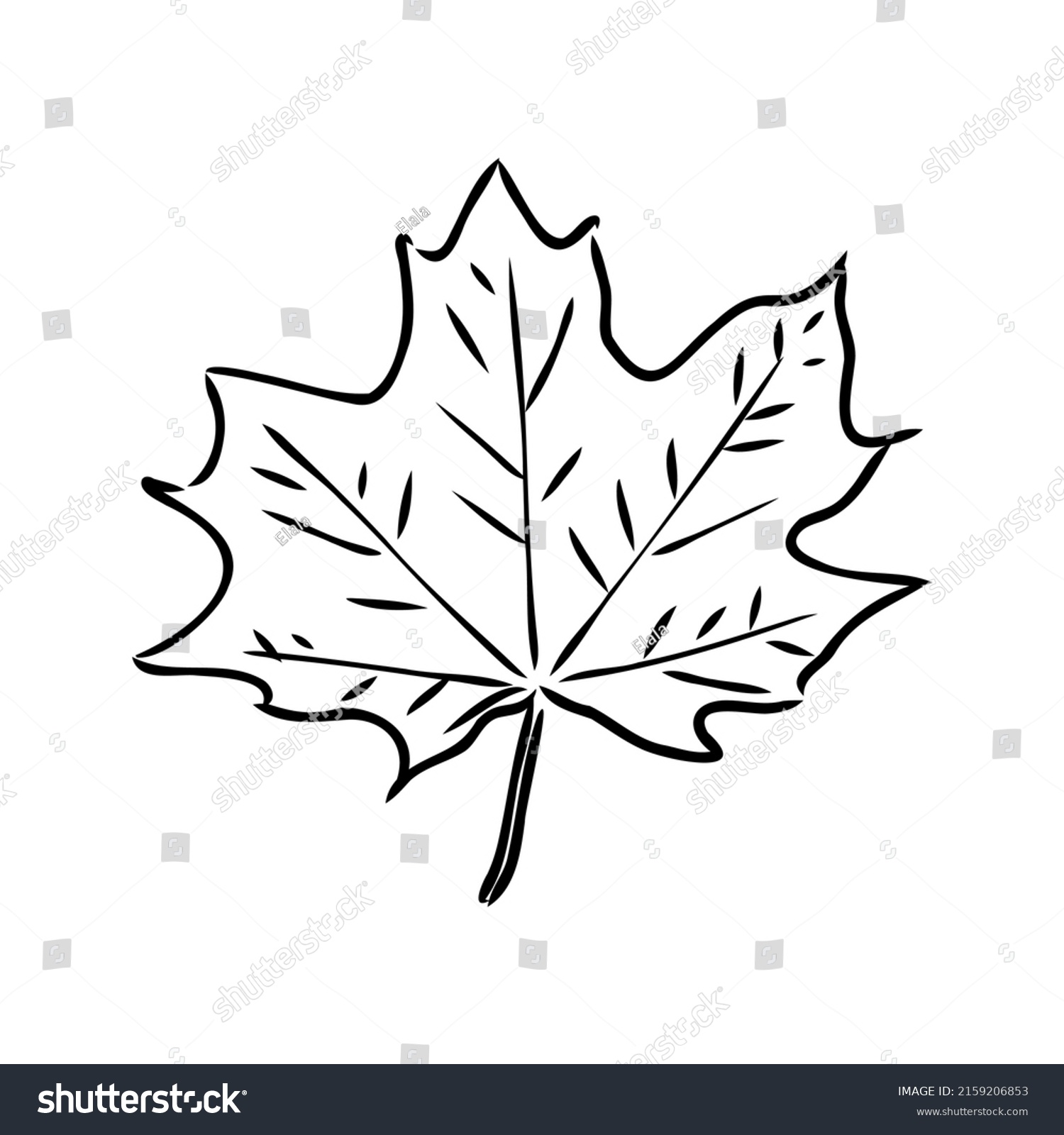 Fall Leaf Clipart Black White Leaf Stock Vector (Royalty Free ...