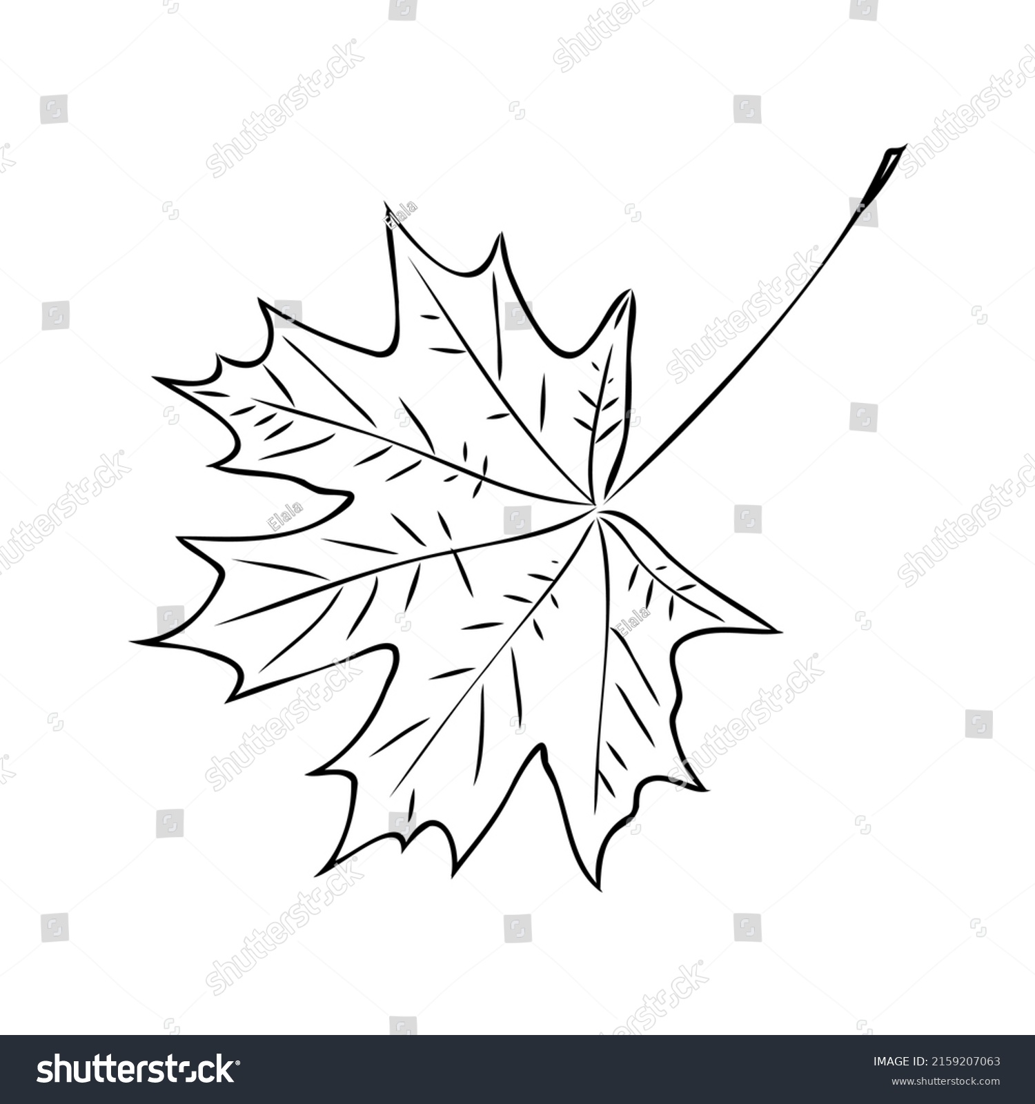 Fall Leaf Clipart Black White Leaf Stock Vector (royalty Free 