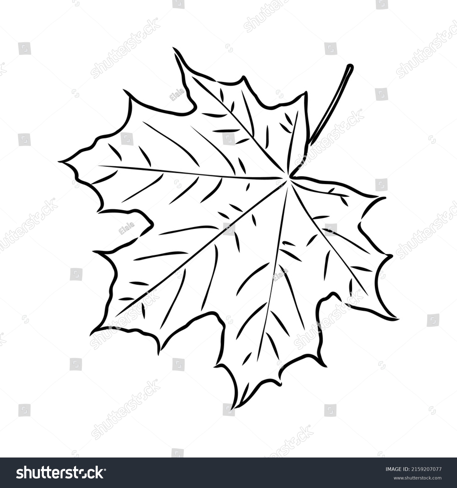 Fall Leaf Clipart Black White Leaf Stock Vector (Royalty Free ...