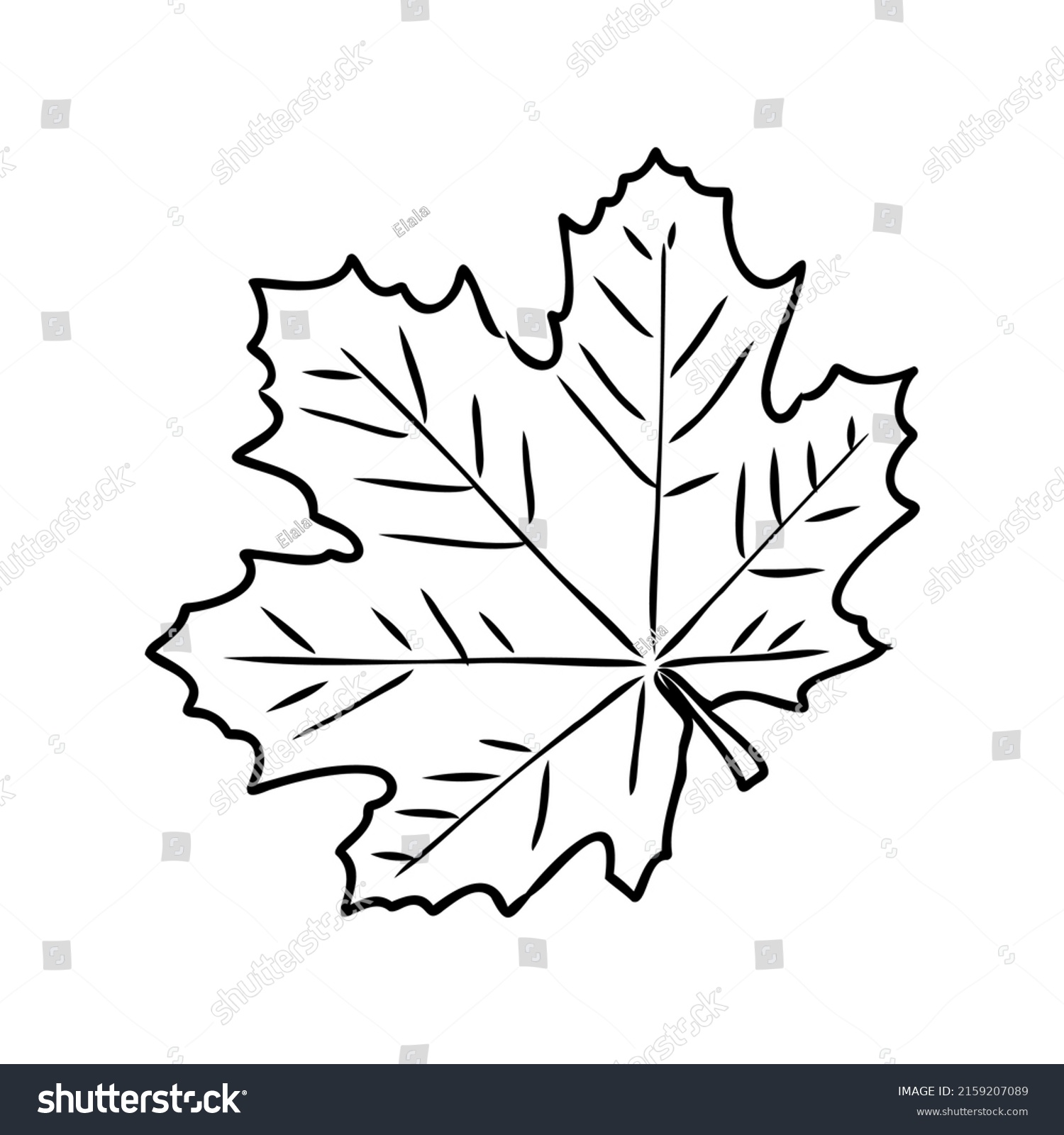 Fall Leaf Clipart Black White Leaf Stock Vector (Royalty Free ...