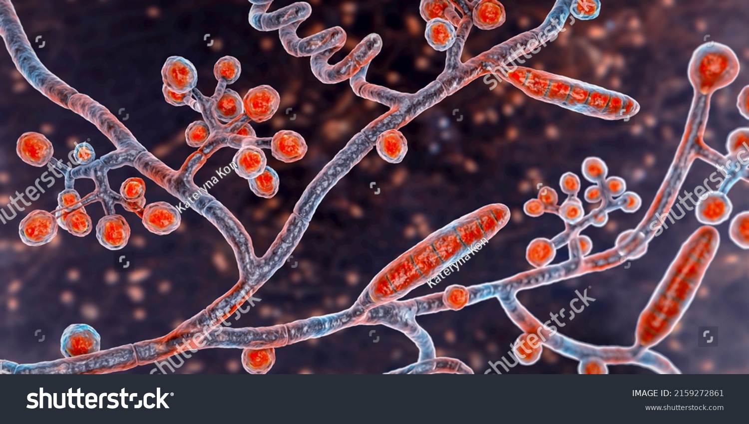 Fungi Trichophyton Mentagrophytes 3d Illustration Showing Stock 