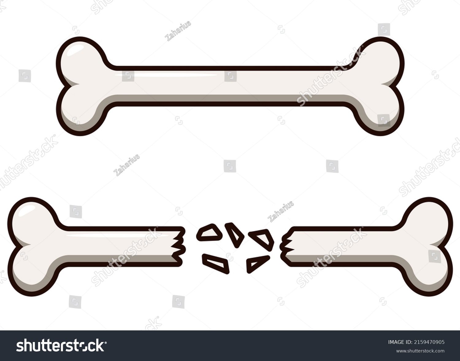 Bone Skeleton Healthy Bone Crossed Bones Stock Vector (royalty Free 