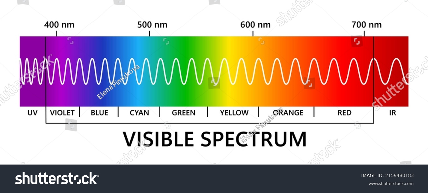 Visible Light Spectrum Infared Ultraviolet Light Stock Vector (Royalty ...