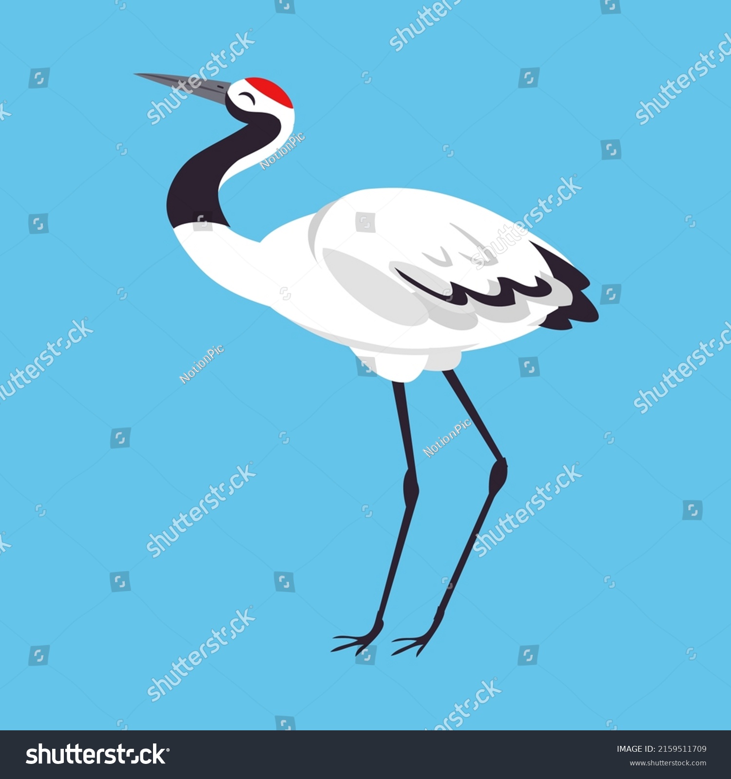 Red Crowned Crane Longlegged Longnecked Bird Stock Vector (Royalty Free ...