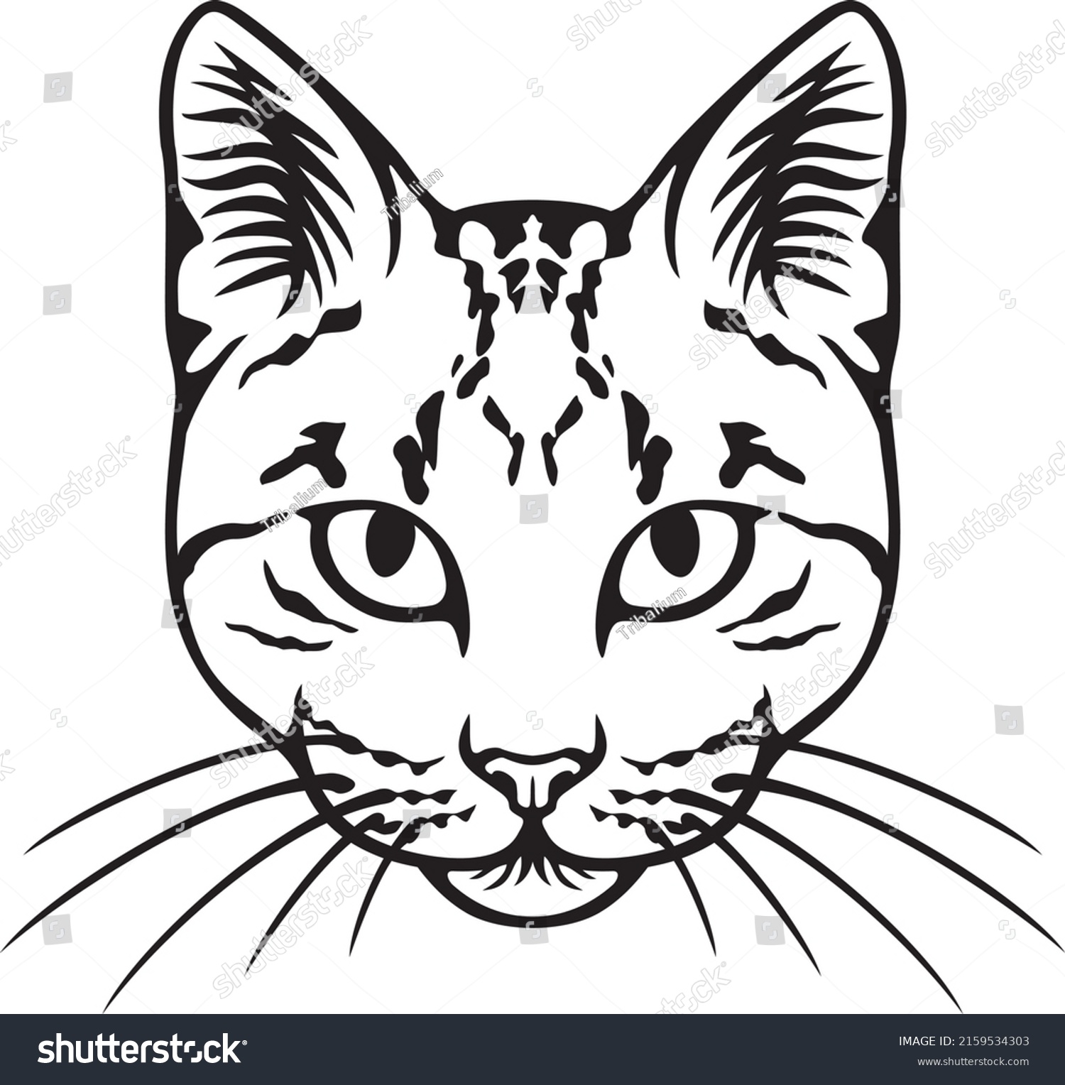 Cat Face Black White Vector Illustration Stock Vector (Royalty Free ...