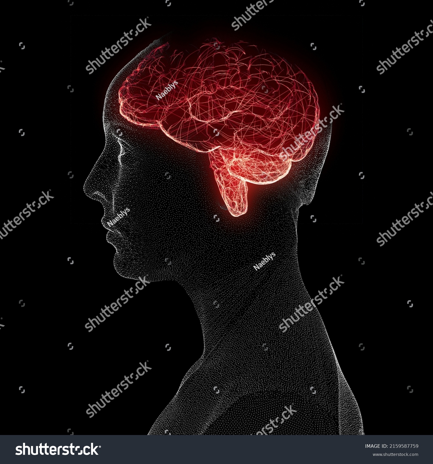 Neurology Philosophy Connections Development Thought Reflection Stock ...