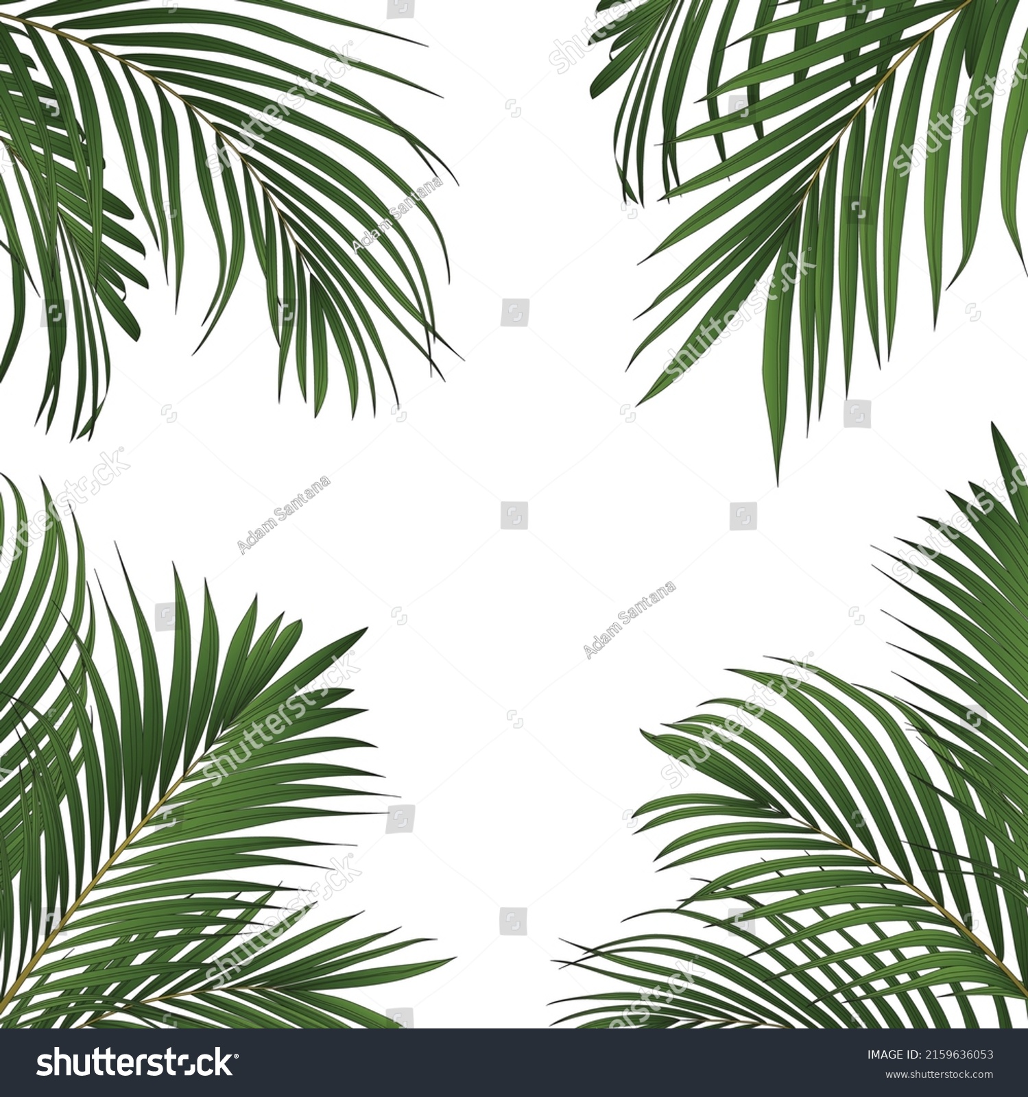 Palm Leaves Frame Border Design Stock Vector (Royalty Free) 2159636053 ...