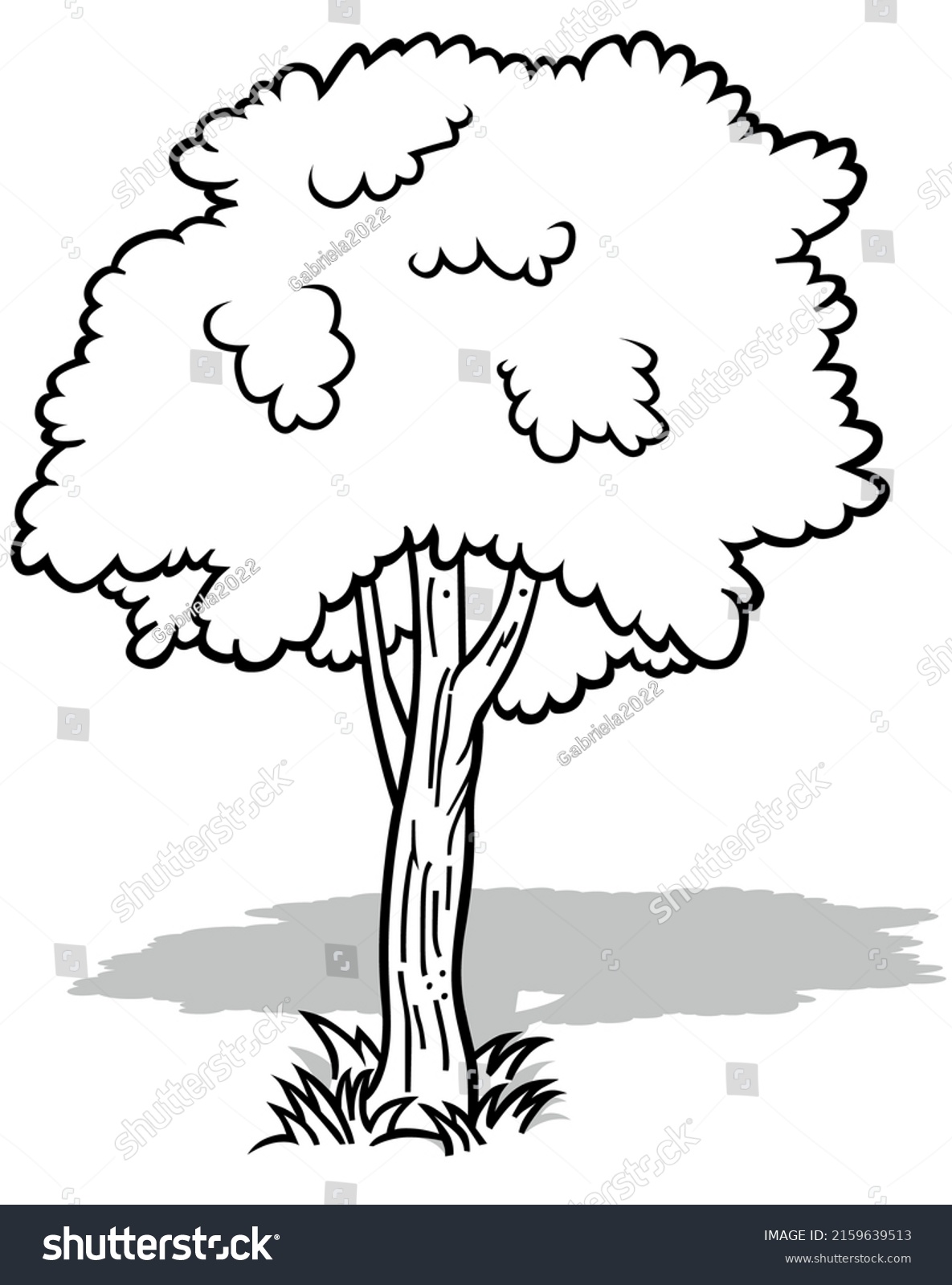 Drawing Deciduous Young Tree Cartoon Illustration Stock Vector (Royalty ...