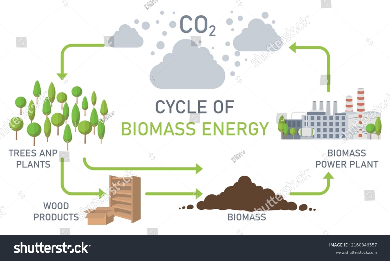 Cycle Biomass Energy Colored Vector Illustration Stock Vector (Royalty ...