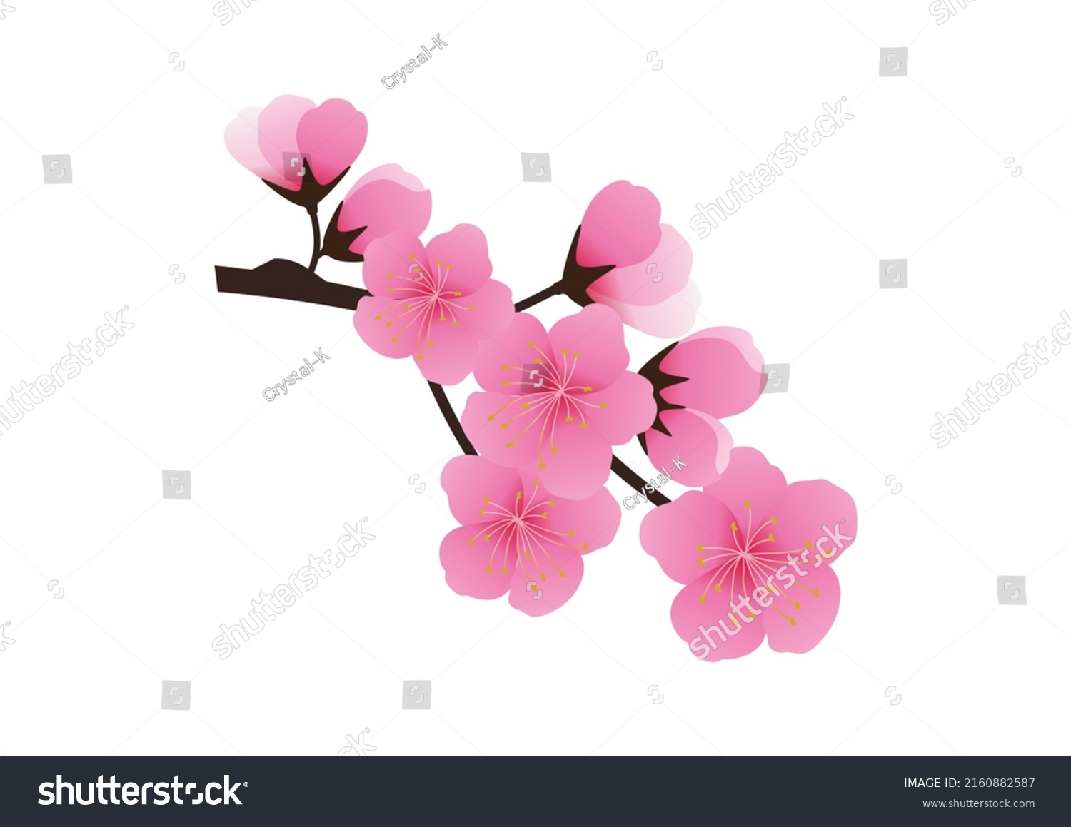 Cherry Blossom Flowers Background Sakura Pink Stock Vector (Royalty ...