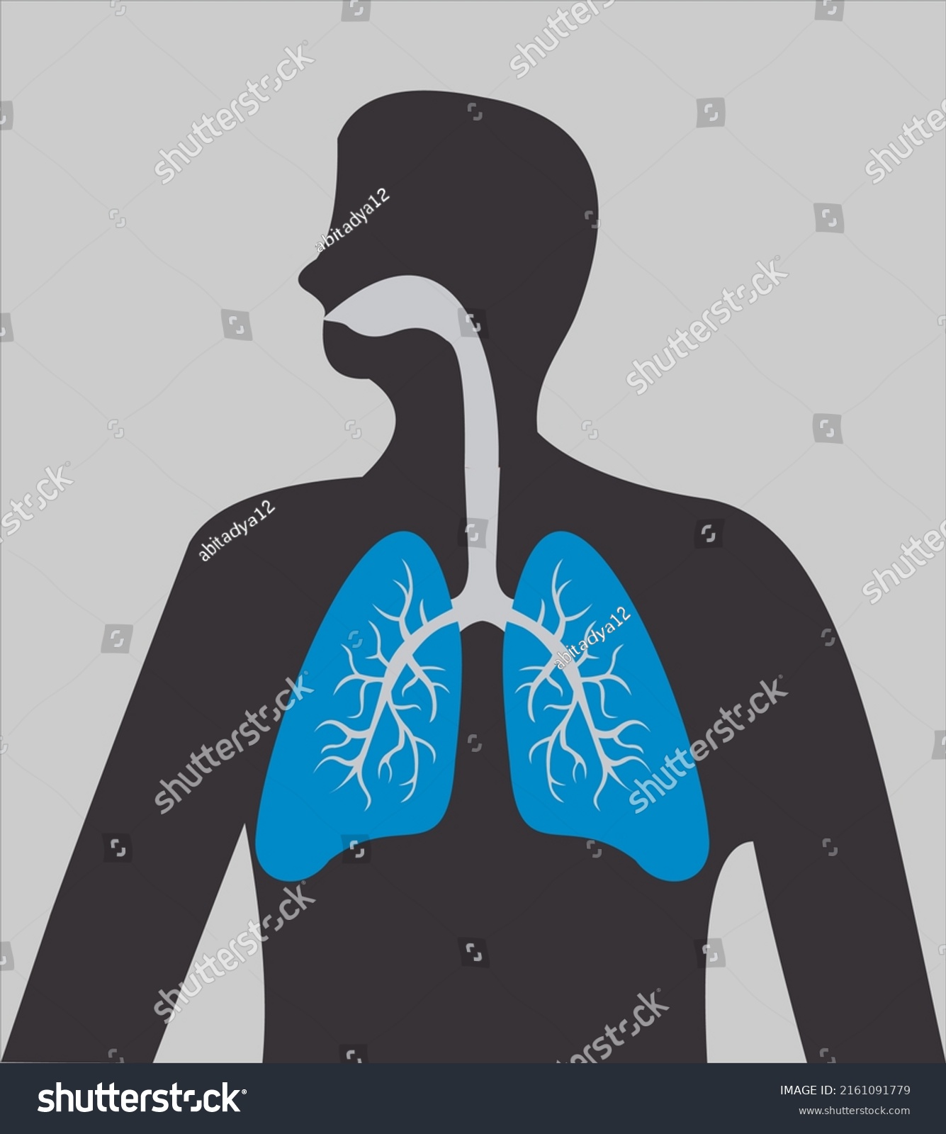 Vector Illustration Human Respiratory System Stock Vector (Royalty Free ...