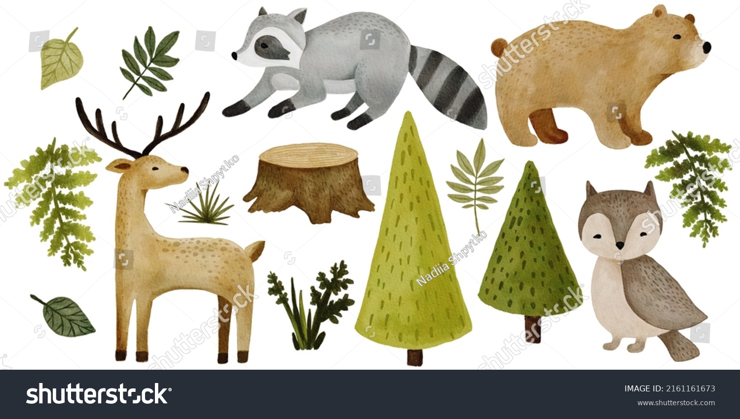 Watercolor Forest Animal Clipart Cute Woodland Stock Illustration ...