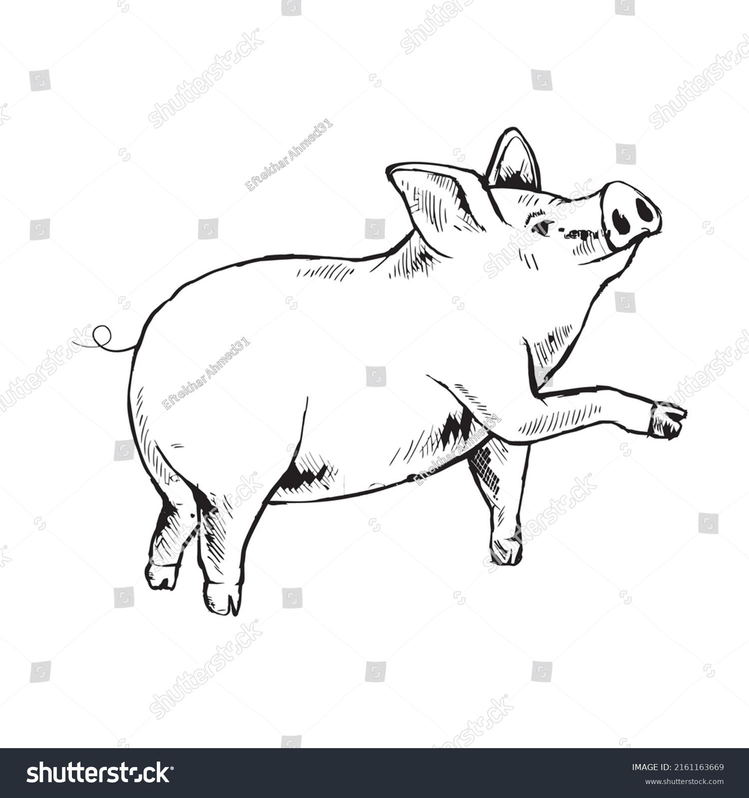 Pig Outline Icon Hand Drawn Sketch Stock Vector (Royalty Free ...