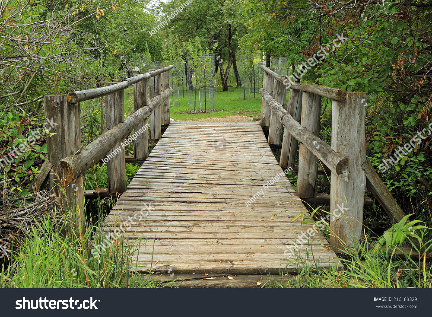 Сидеть вдвоем на деревянном мостике через ручей