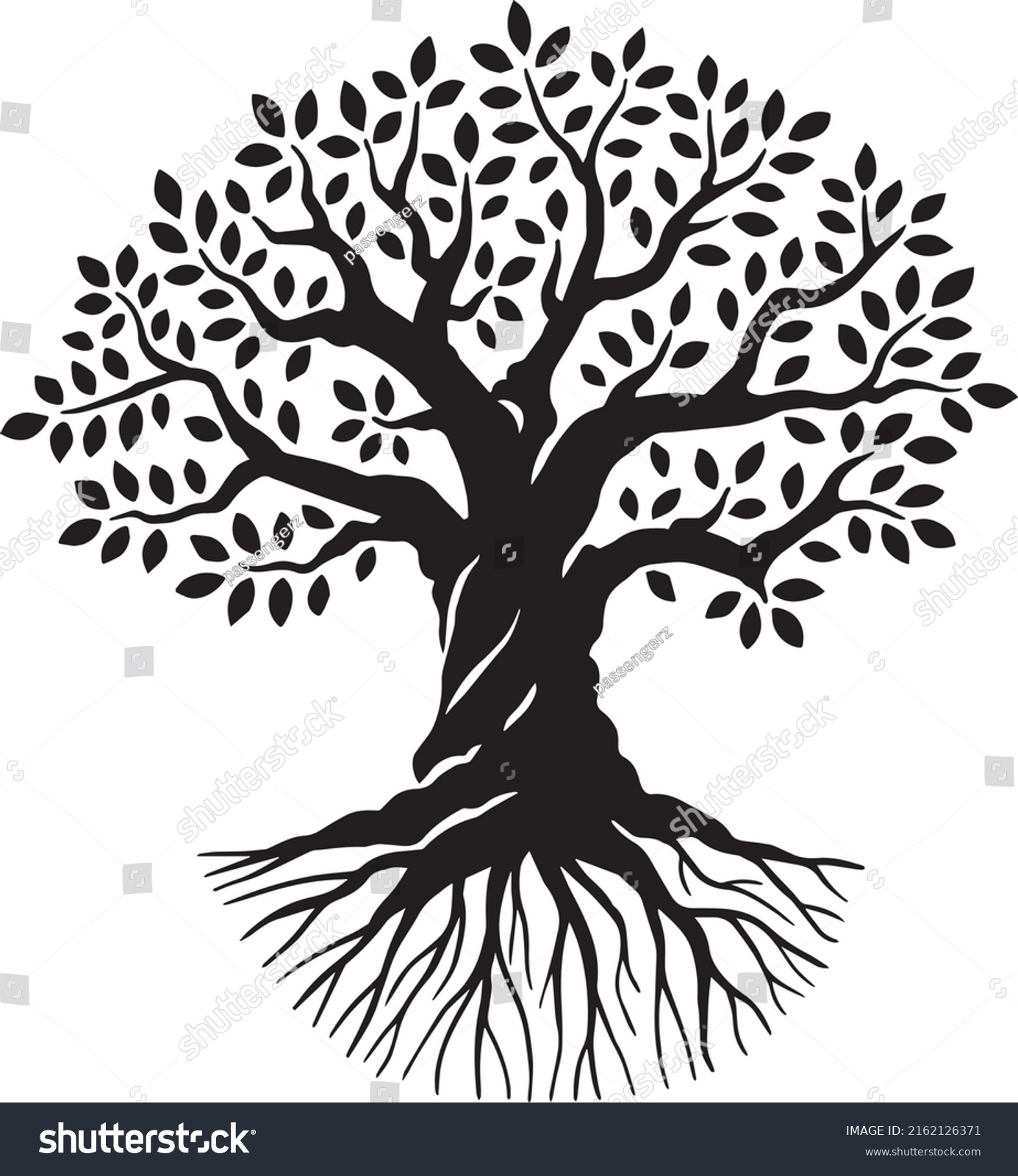 Olive Tree Black White Vector Illustration Stock Vector (royalty Free 