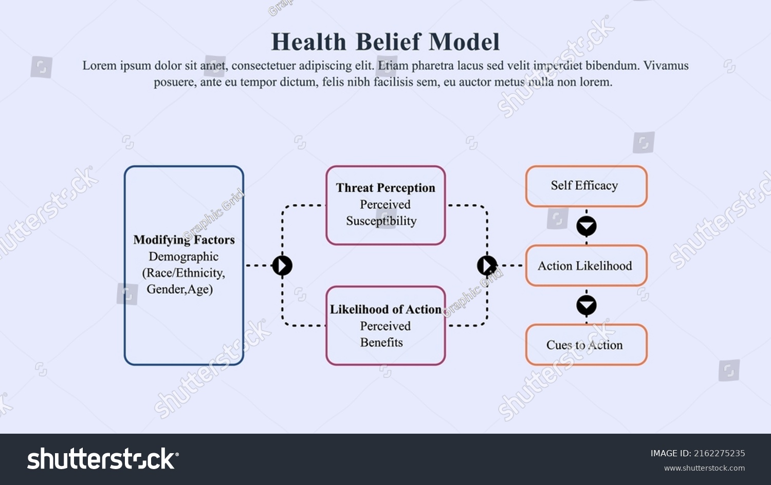 Infographic Presentation Template Health Belief Model Stock Vector ...