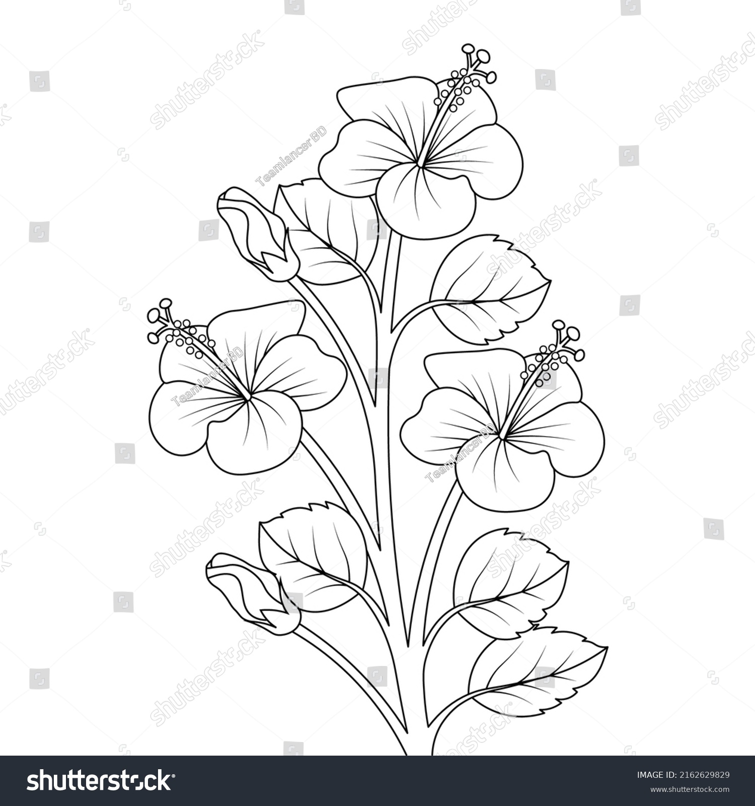 Hibiscus Flower Sketch Pencil Line Drawing Stock Vector Royalty Free 2162629829 Shutterstock 1876