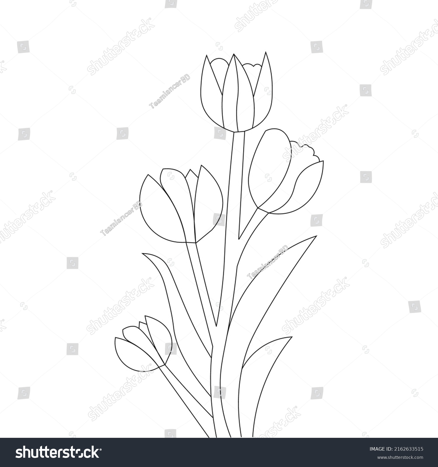 Colorin Page Tulip Flower Line Drawing Stock Vector (Royalty Free ...