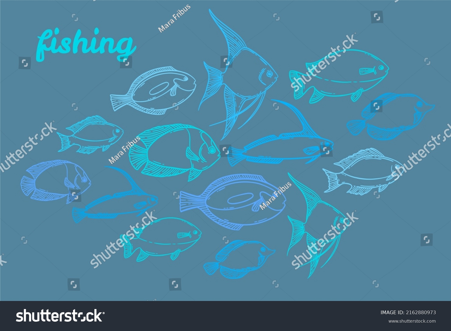 Stock Photo School Of Fish Sketch Set Hand Drawn Fishing Illustration Restaurant Sea Food Menu Design 2162880973 