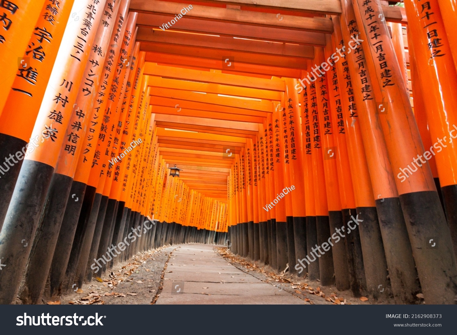 Traditional Korean Fermented Food Gwangjang Market写真素材 Shutterstock