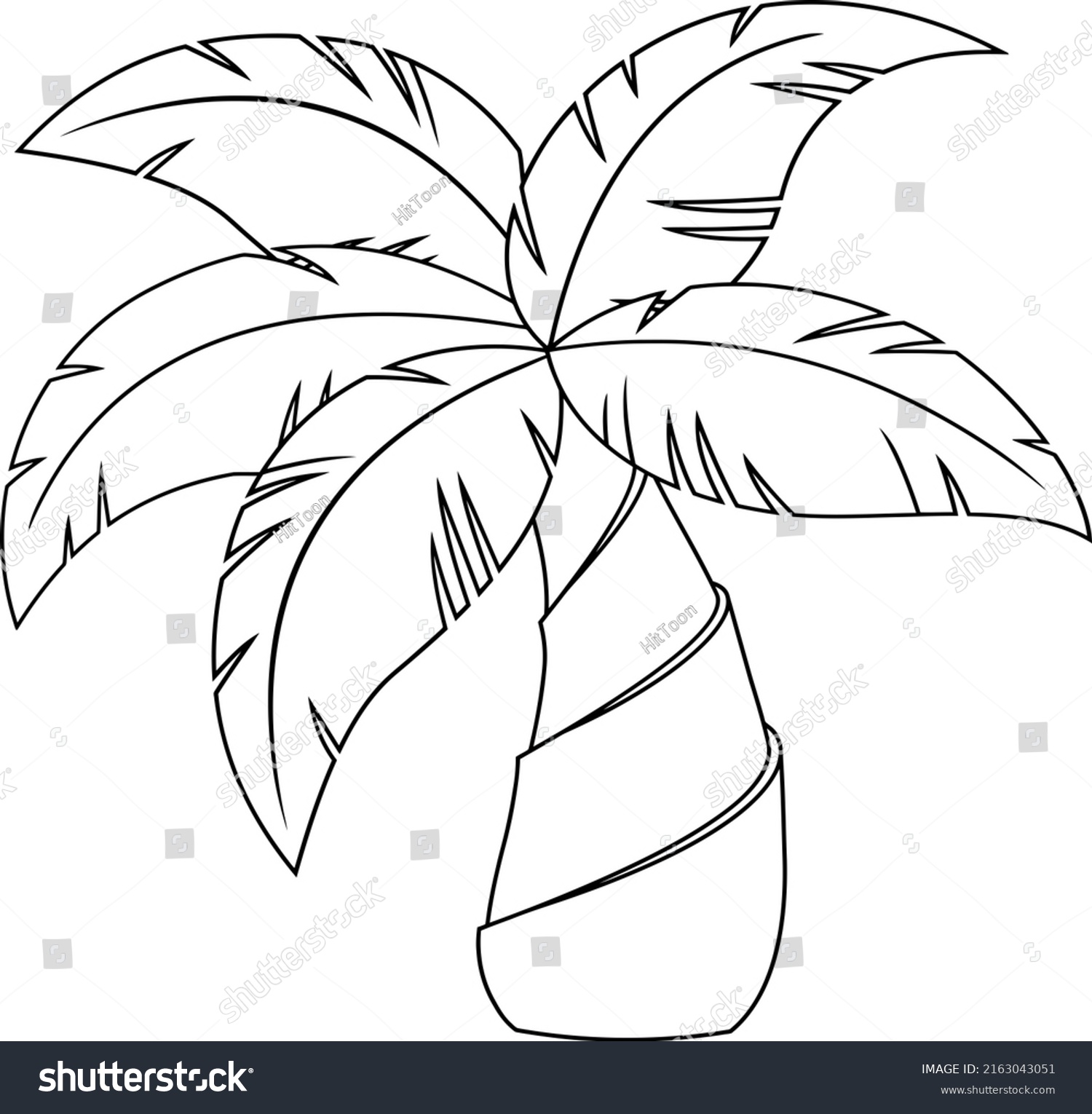 Outlined Cartoon Tropical Palm Tree Crown Stock Illustration 2163043051 ...