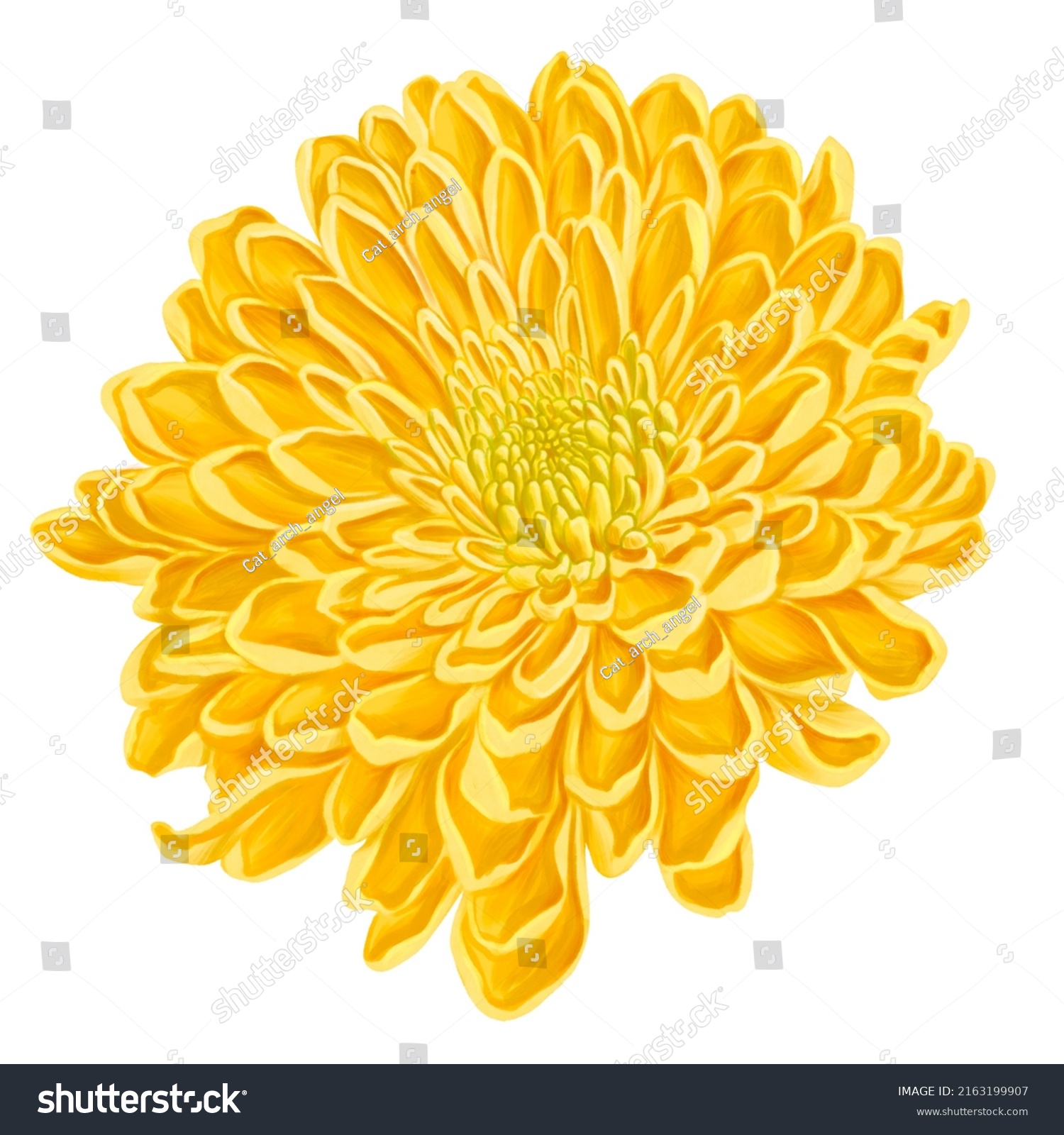 9,057 Chrysanthemum painting Images, Stock Photos & Vectors | Shutterstock