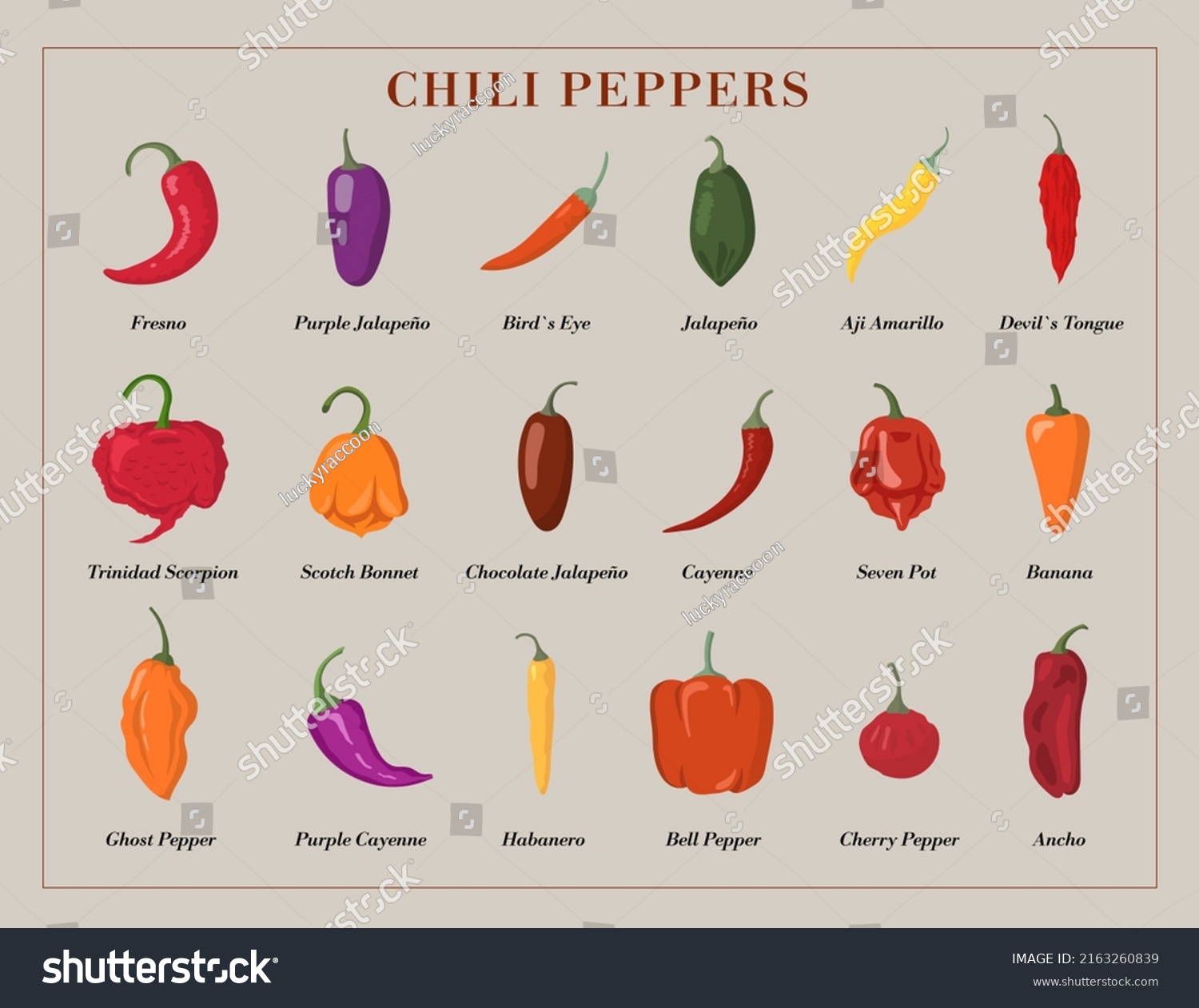 Variety Hot Chili Peppers Stock Vector Stock Vector (Royalty Free ...