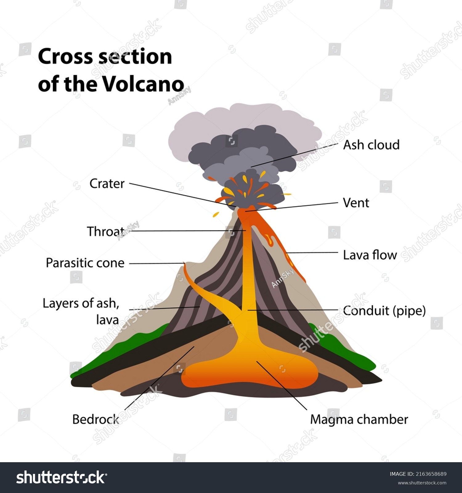 Cross Section Volcano Stock Vector (Royalty Free) 2163658689 | Shutterstock