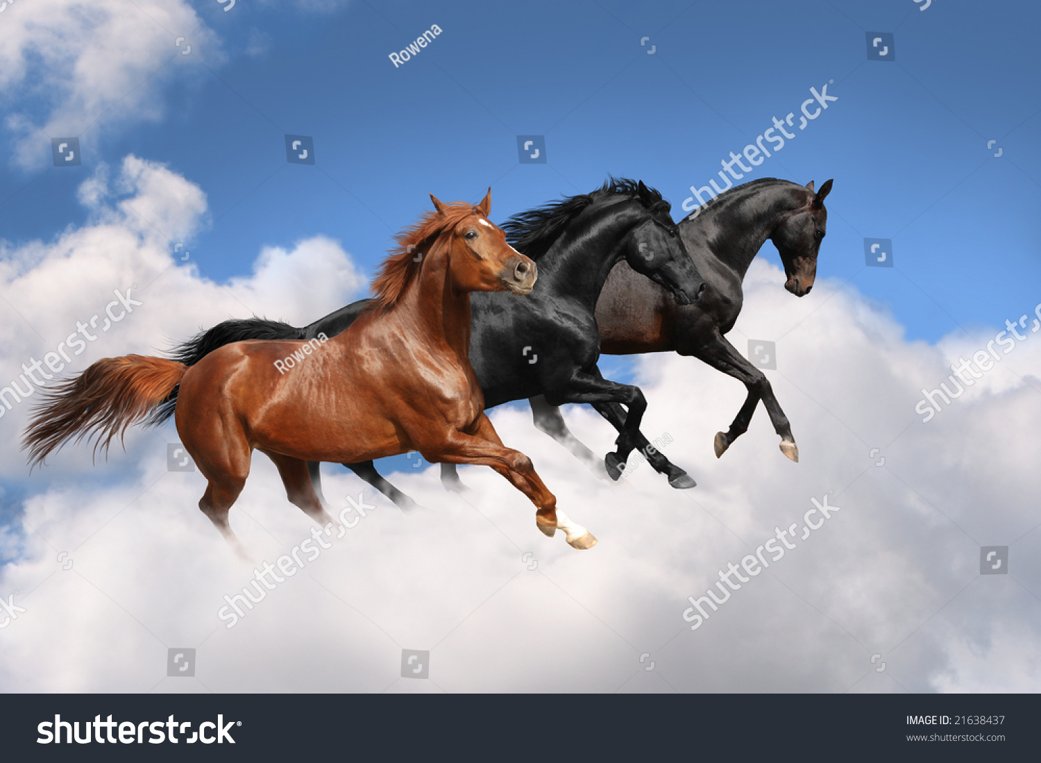 Лошадь в небе
