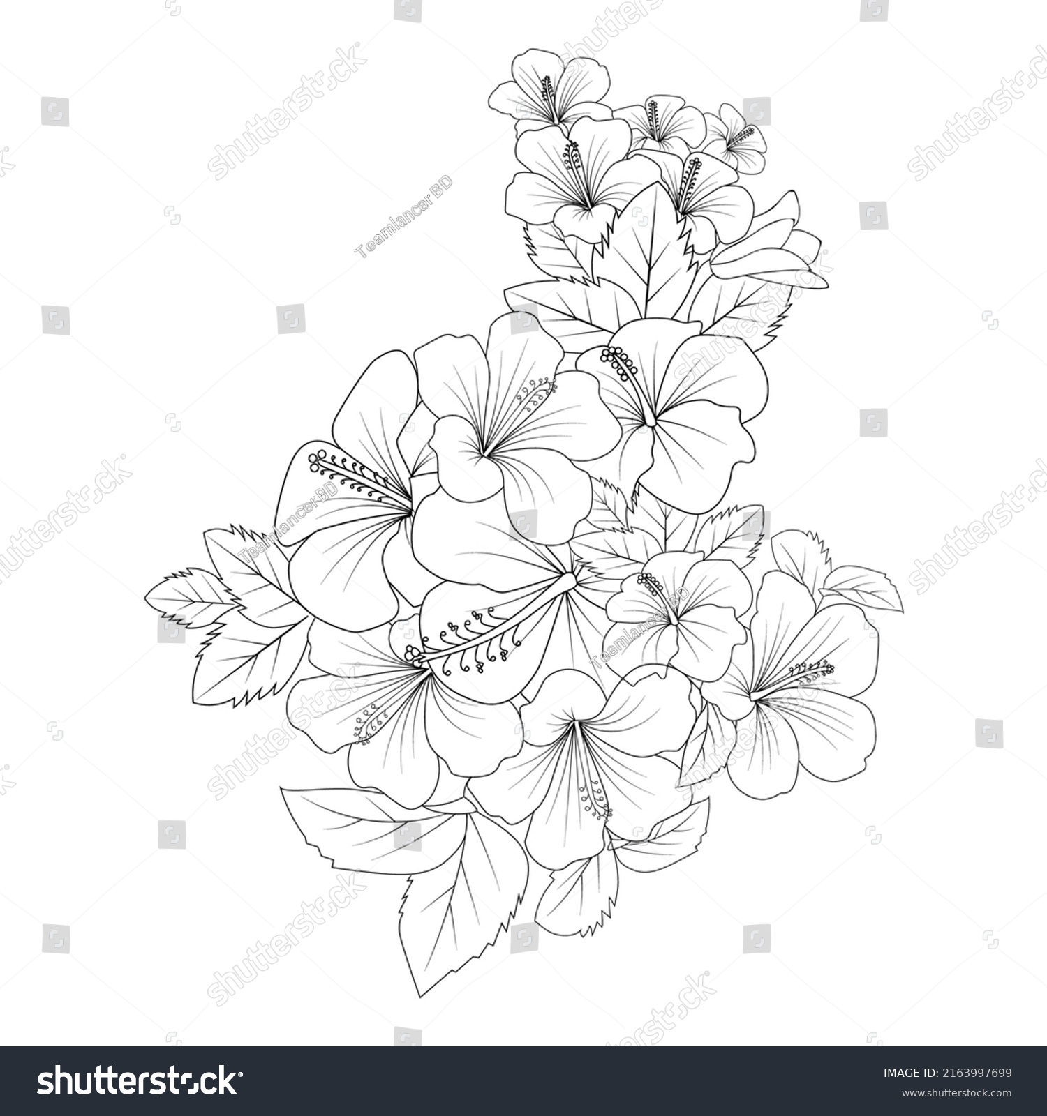 China Rose Flower Doodle Coloring Page Stock Vector (Royalty Free ...