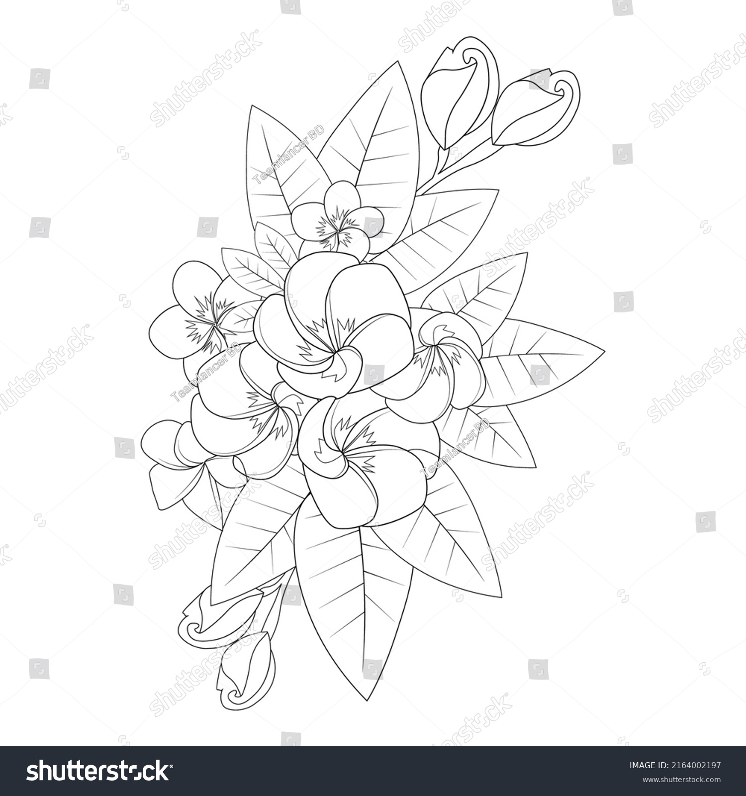 Plumeria Flower Doodle Coloring Page Outline Stock Vector (Royalty Free ...