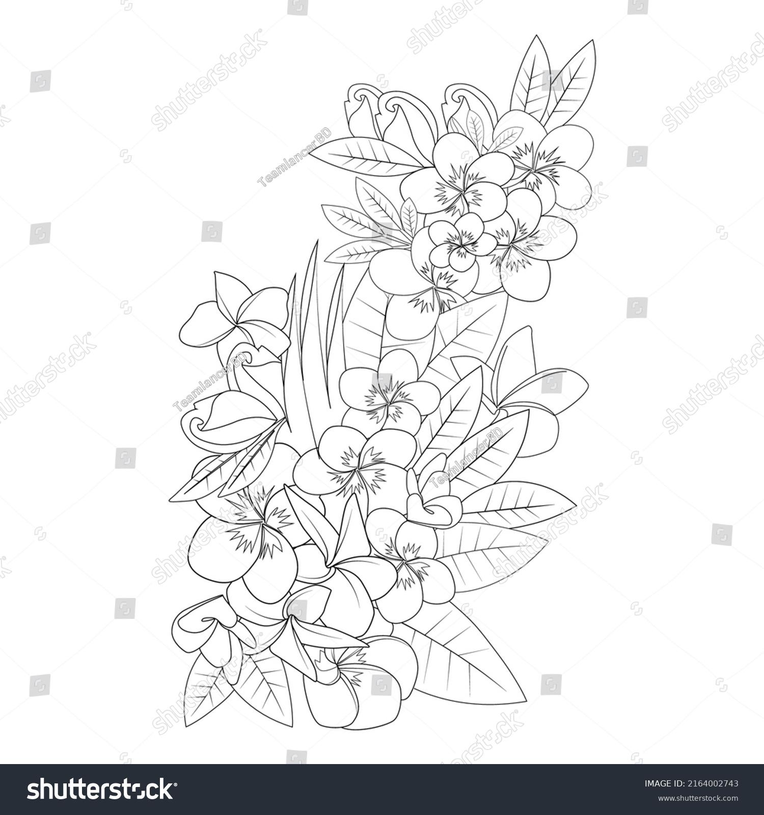 Frangipani Flower Doodle Coloring Page Outline Stock Vector (royalty 