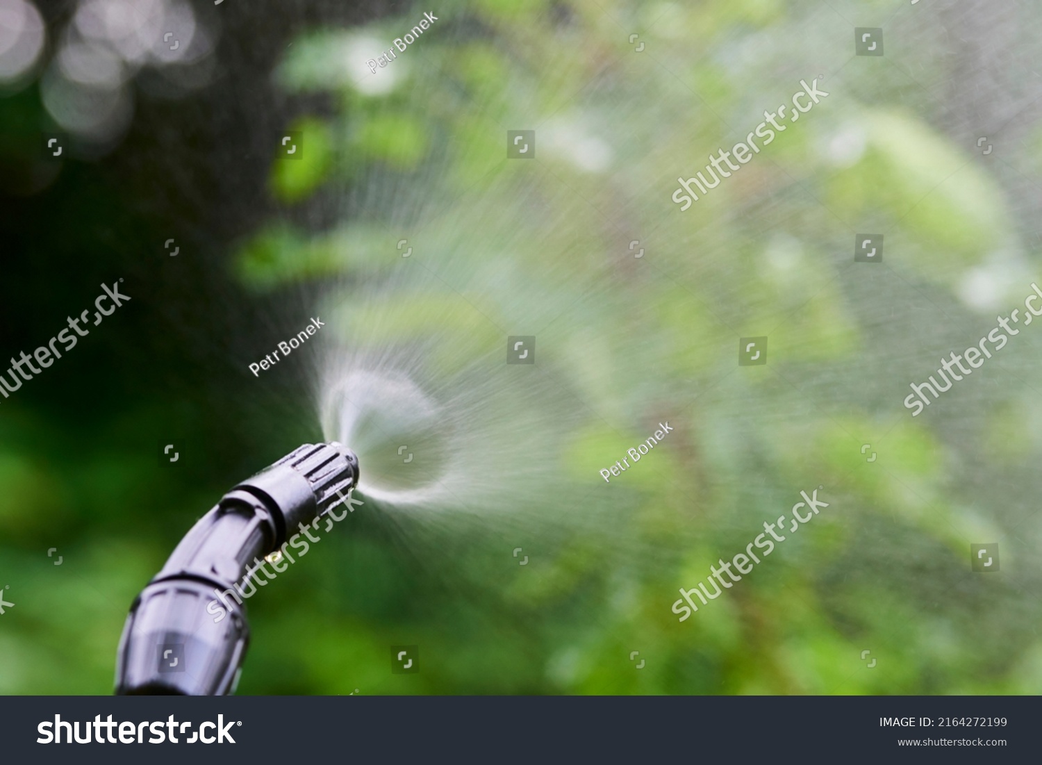 Spraying Tree Leaves Against Pests Chemicals Stock Photo 2164272199   Stock Photo Spraying Tree Leaves Against Pests With Chemicals Or Ecological Detail Of Spraying 2164272199 