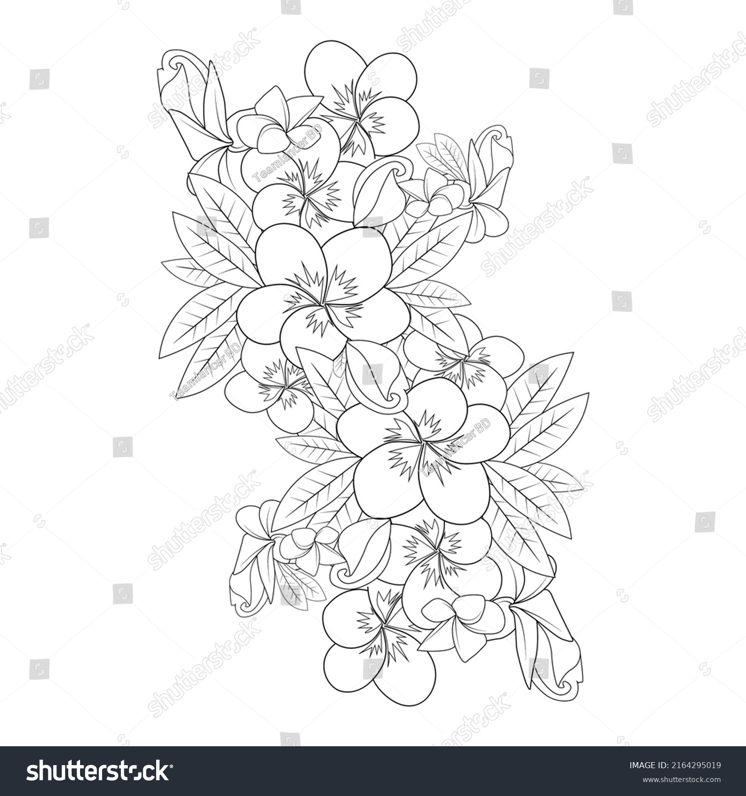 Plumeria Flower Line Art Sketch Outline Stock Vector (Royalty Free ...