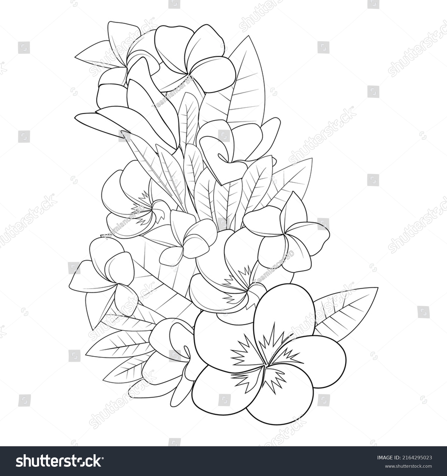 Plumeria Flower Line Art Sketch Outline Stock Vector (Royalty Free ...