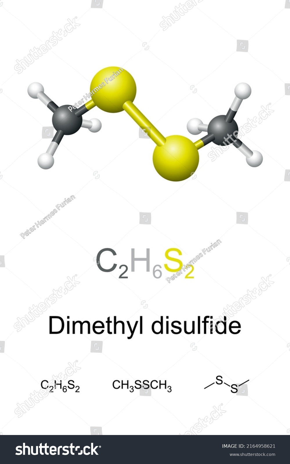 Dimethyl Disulfide Dmds Chemical Formula Molecule Stock Vector Royalty