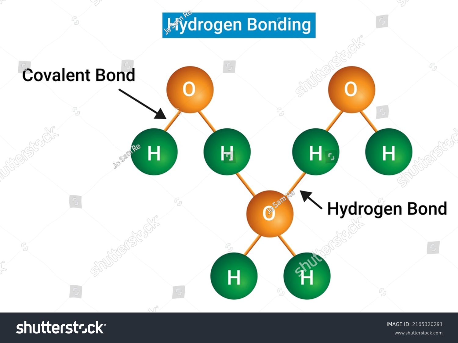 Hydrogen Bond Hbond Primarily Electrostatic Force Stock Vector (Royalty ...