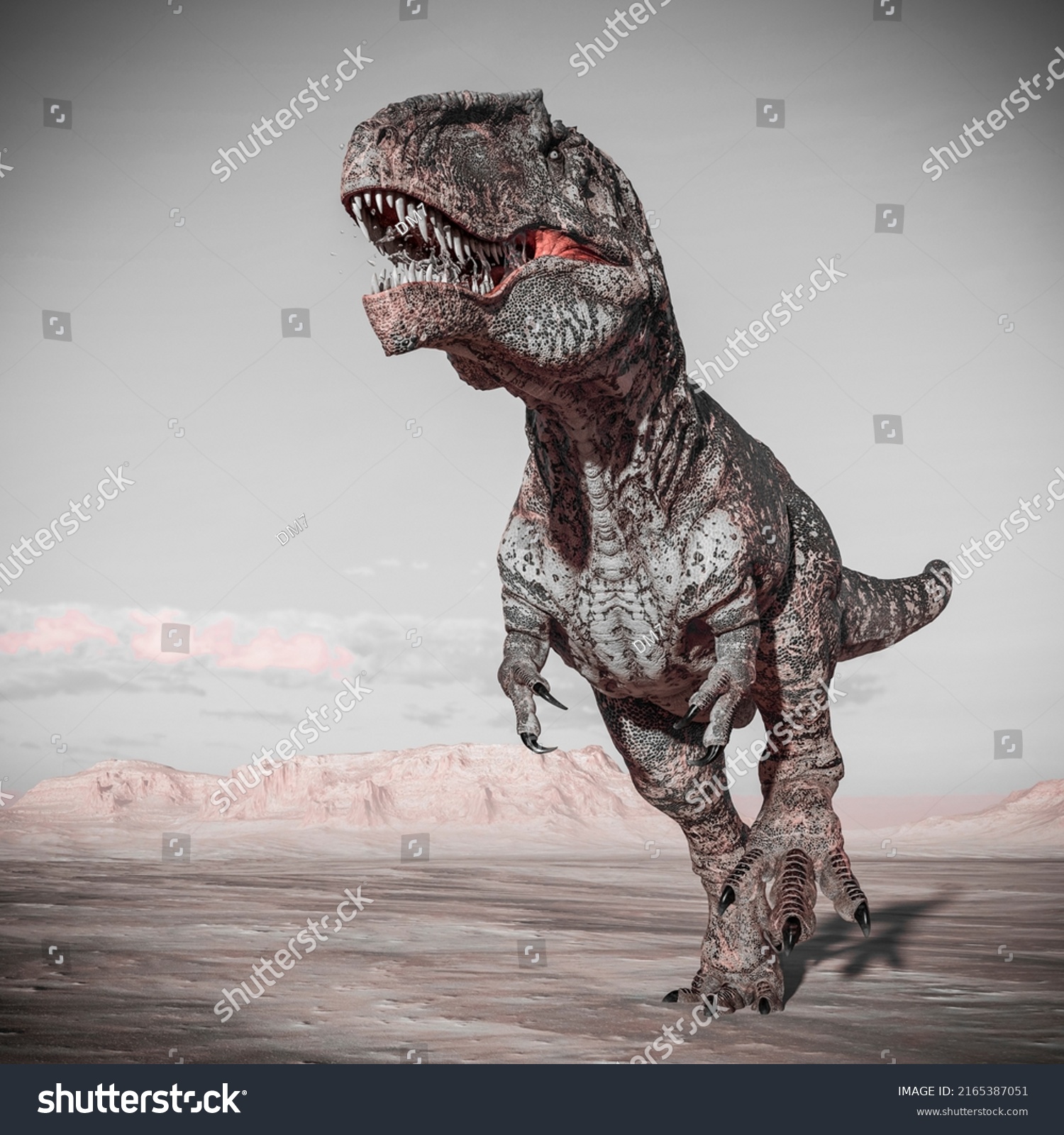 Giganotosaurus Walking Like King On Sunset Stock Illustration 2165387051 Shutterstock 3924