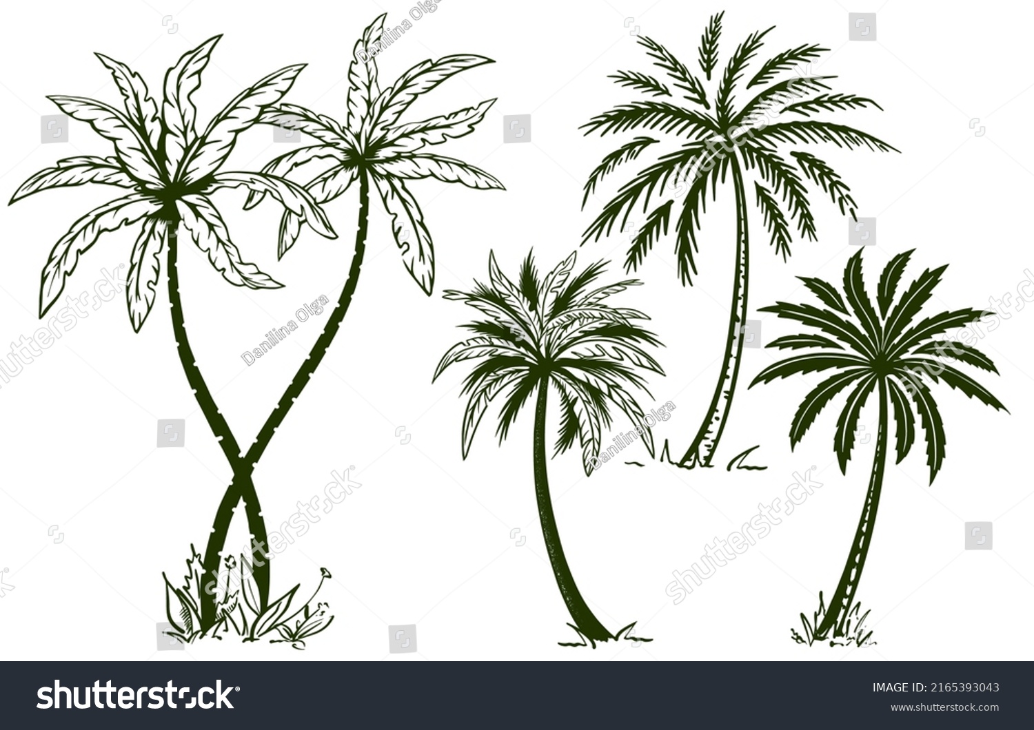 Set Handdrawn Palm Trees Sketch Style Stock Vector (Royalty Free ...