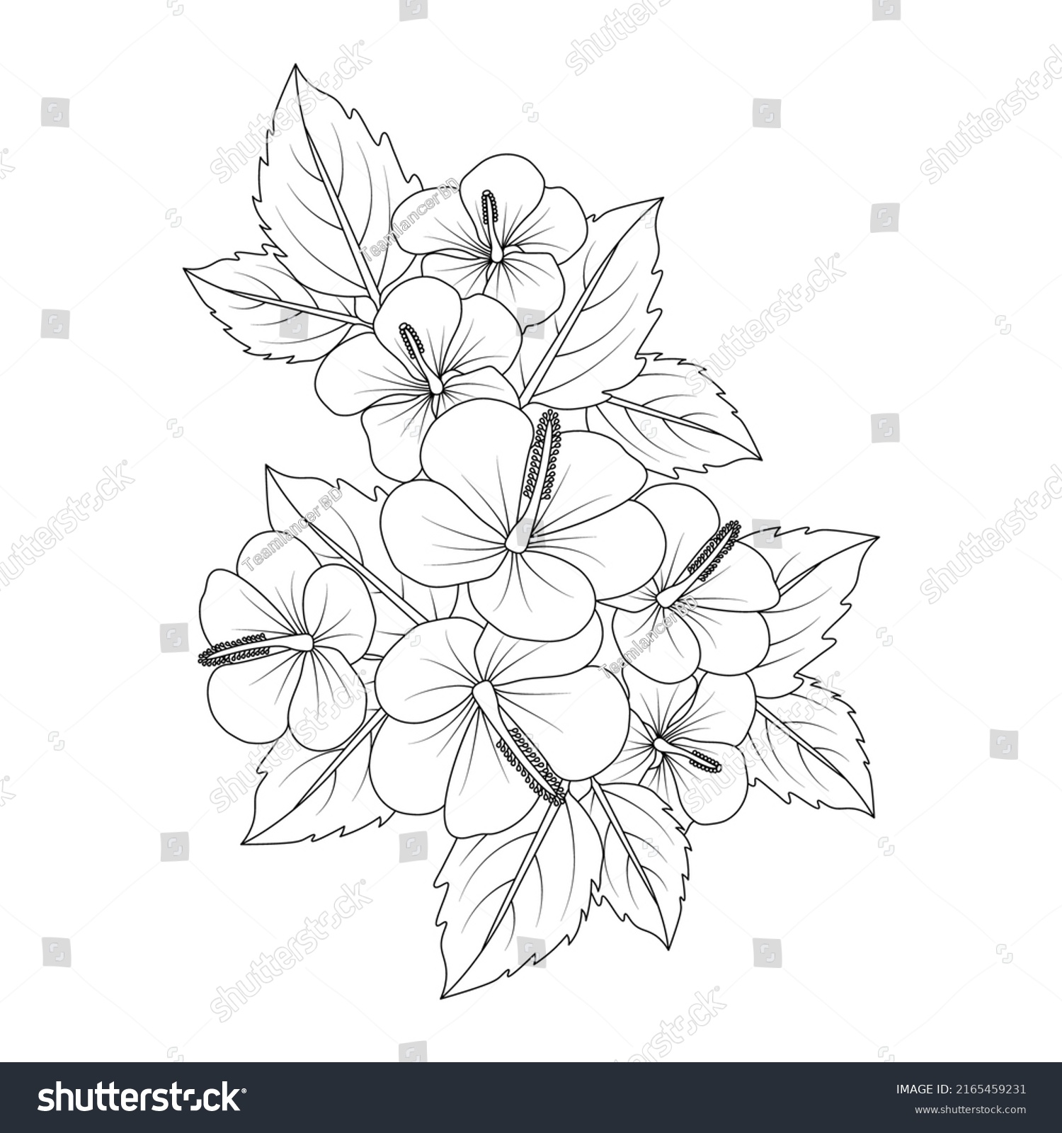 Rose Sharon Coloring Page Design Doodly Stock Vector (Royalty Free ...