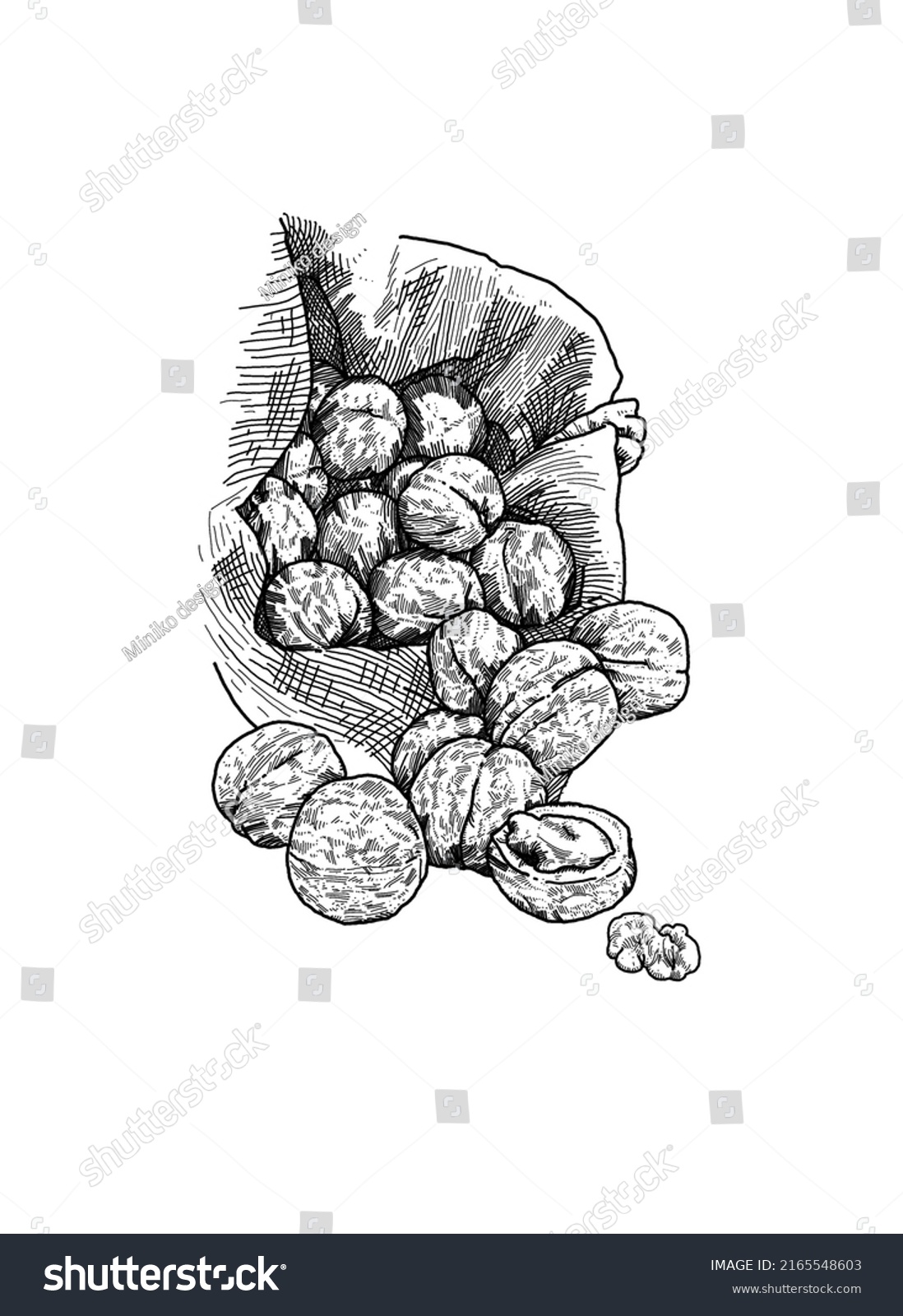 Walnut Hand Drawn Outline Illustration Stock Illustration 2165548603 ...