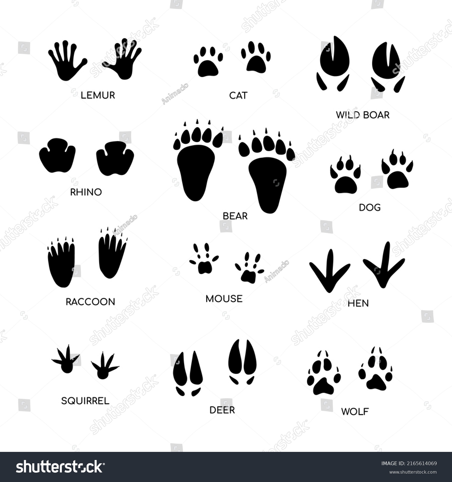 Animal Footprint Guide Collection Hand Drawn Stock Vector (Royalty Free ...