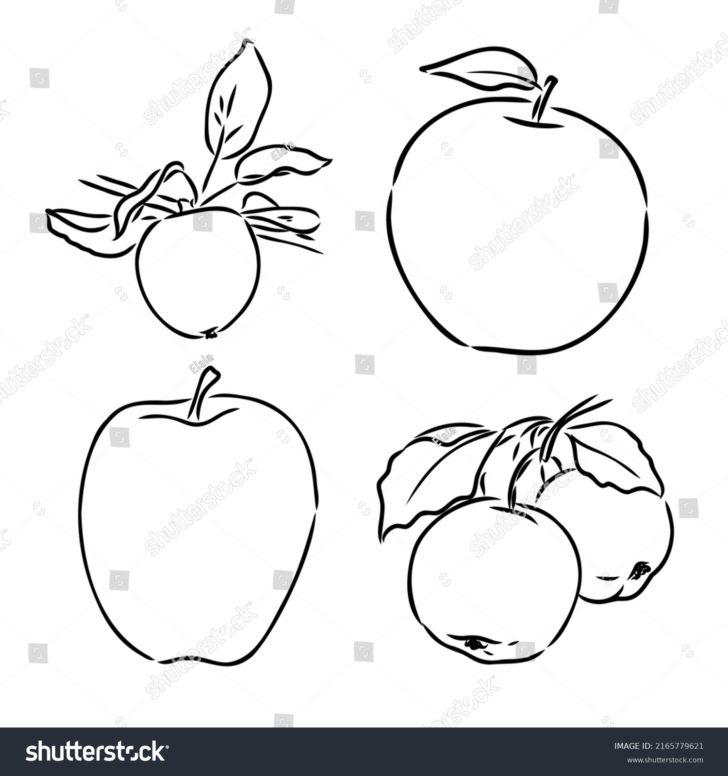 Apple Fruit Vector Illustration Engraved Organic Stock Vector Royalty