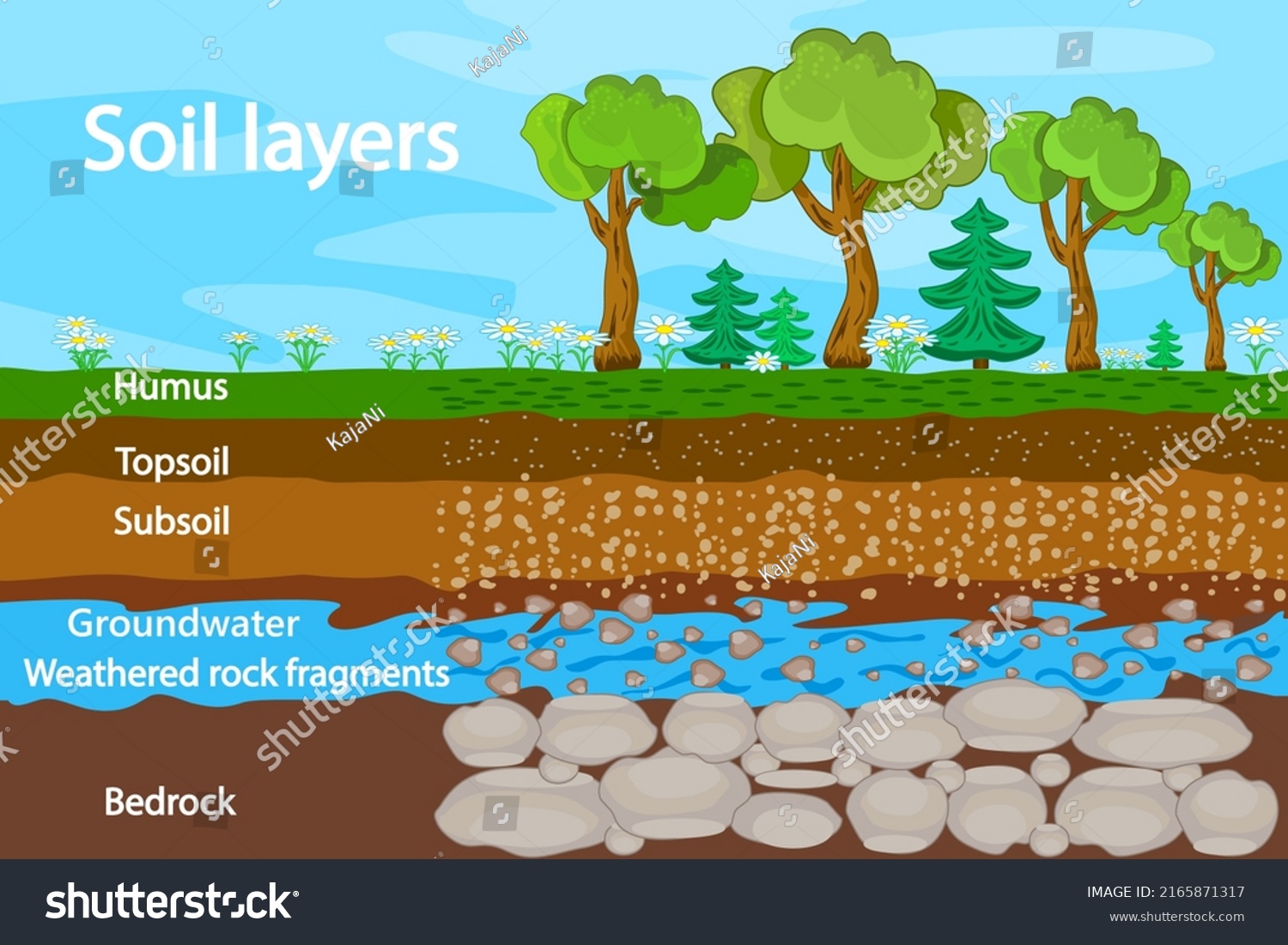 Soil Layers Diagram Layer Soil Soil เวกเตอร์สต็อก (ปลอดค่าลิขสิทธิ์) 2165871317 Shutterstock