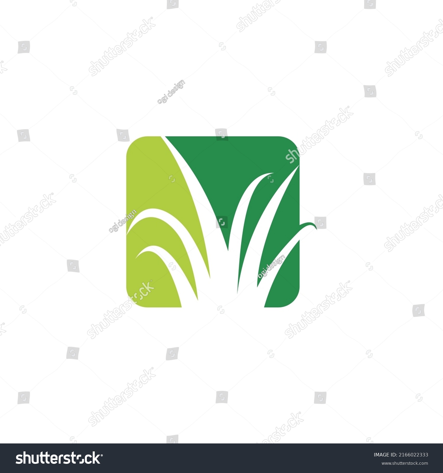 Green Grass Logo Design Template Stock Vector (Royalty Free) 2166022333 ...