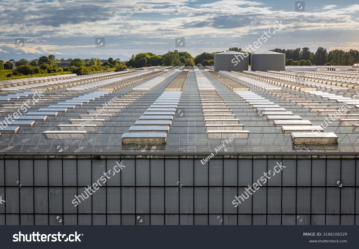 19 383 Greenhouse Windows Images Stock Photos Vectors Shutterstock   Stock Photo Glass Greenhouses From Above At Sunset Agriculture Business Greenery Contemporary Technologies 2166106529 