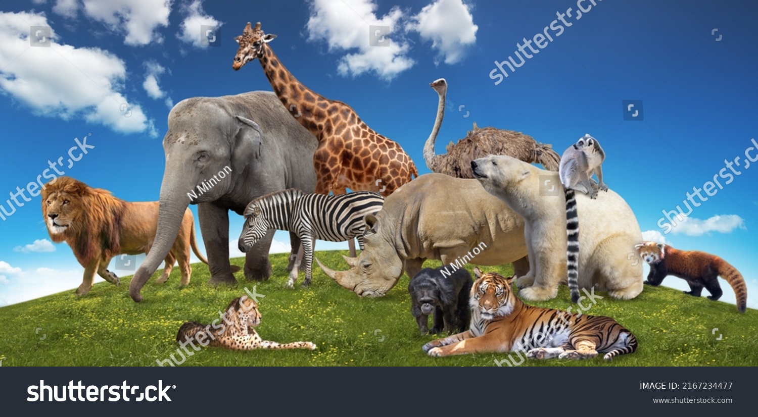 Wild Animals Group On Green Grass Stock Photo 2167234477 | Shutterstock